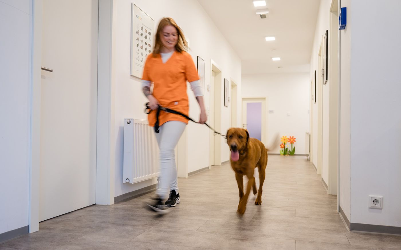 Tierarztpraxis Augustin Schwabach Kleintierpraxis Nuernberg